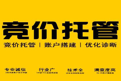 从零到一：企业如何通过百度竞价实现快速增长？——以某公司为例